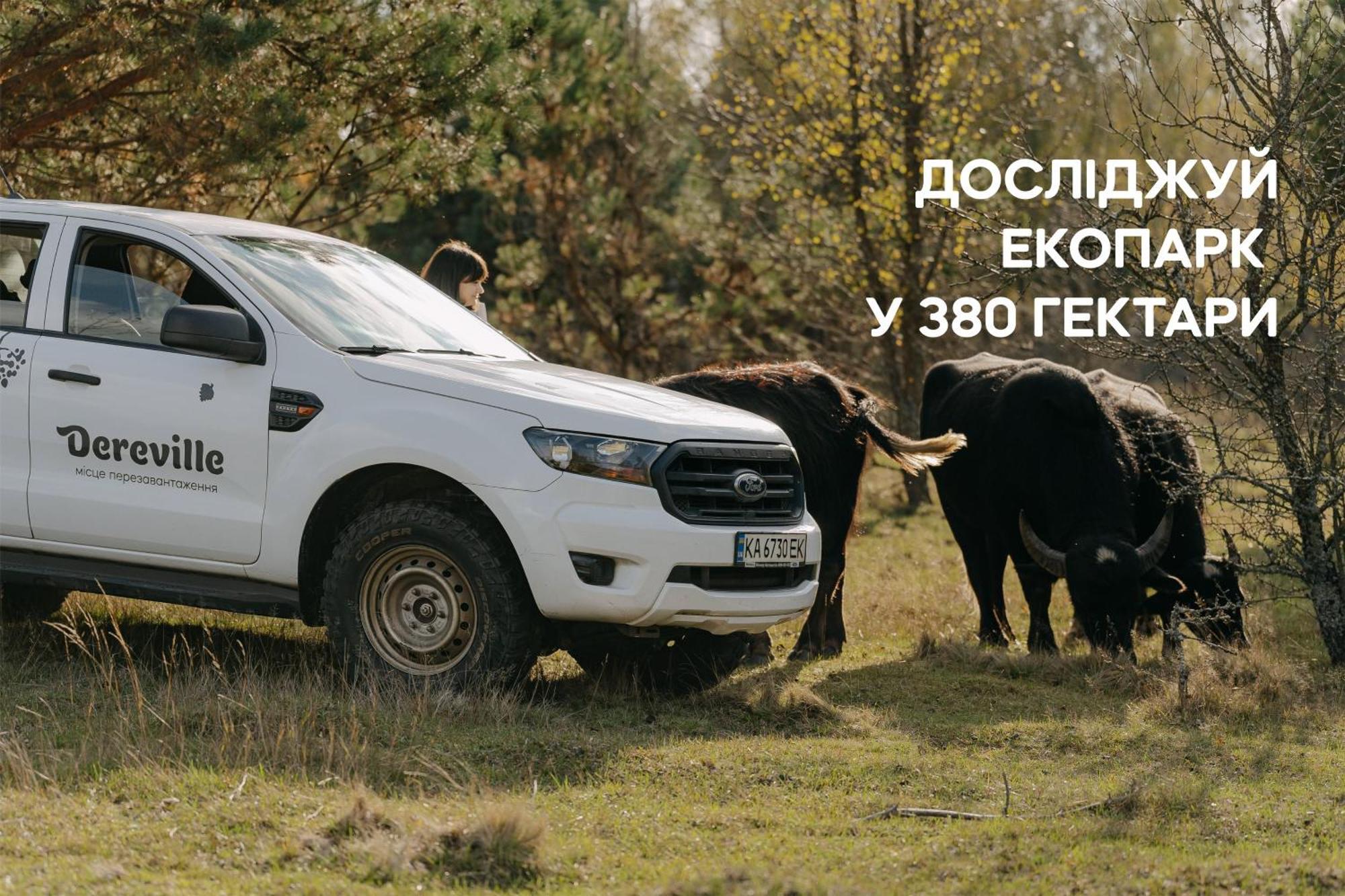 Dereville Sokolovka Ruang foto